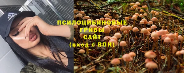 apvp Ленинск-Кузнецкий